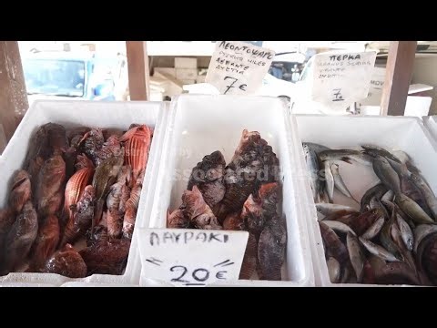 Fishermen in Cyprus battle invasive lionfish — by turning them into tavern delicacy