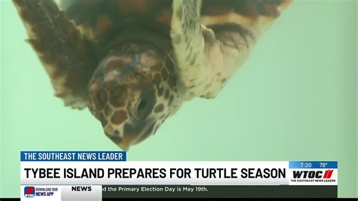 Tybee Island prepares for sea turtle nesting season