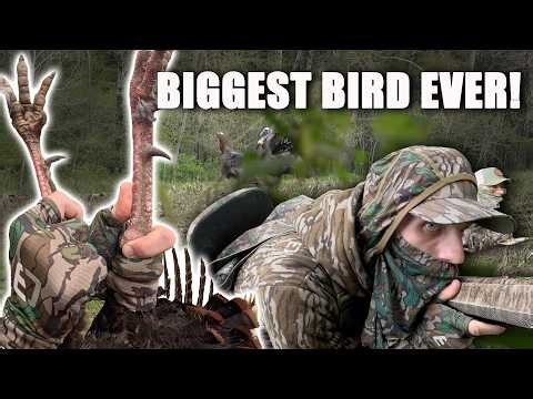 New York Turkey Hunting - BIGGEST Bird Ever