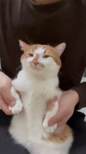 The Ultimate Battle: Who Reigns in the Birch Forest Dance