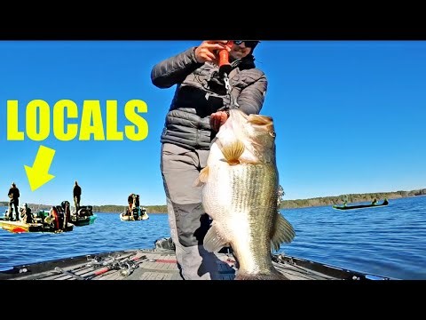 Local Fishermen CIRCLE My Boat after watching me catch Giant Bass...