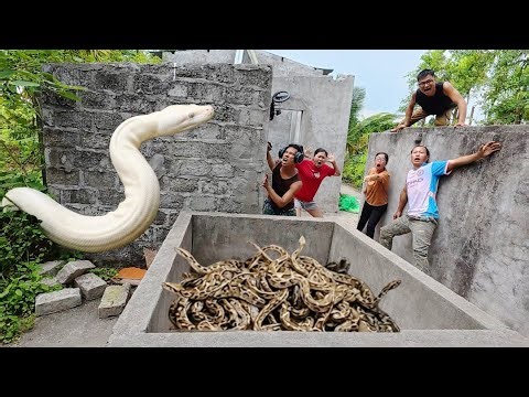 Brave soldiers used high-tech snake detectors to locate the giant python's nest.