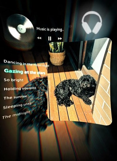 Dancing in the moonlight by - Toploader #song #music