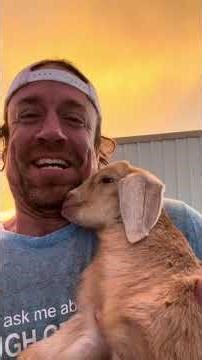 CODE RED #sunset with goats in Oklahoma