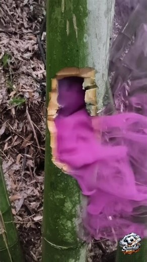 This Color Explosion Was NOT Supposed to Happen 😱🎨