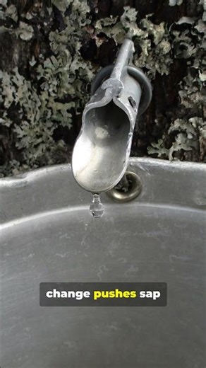 Wild Weather Explosions: SHOCKING!!! #tiktok