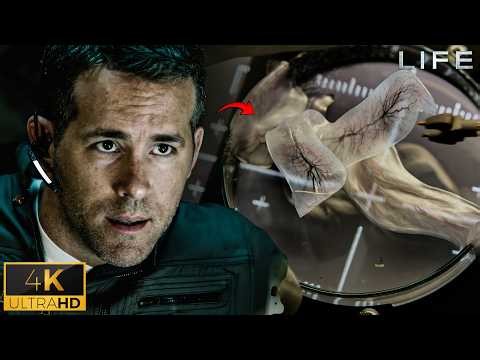 Humanity's First Contact with Alien Life