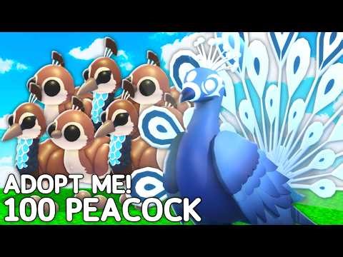 HATCHING 100 PEACOCKS In Adopt Me Update!