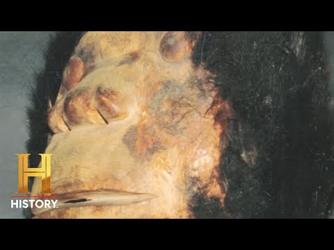 Hunting the Unexplained *Marathon* | MonsterQuest