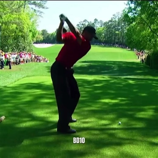 The Greatest Golf Shot Of All Time|| Tiger Woods Hole 16 Chip In 2005 Masters|| #golf #tigerwoo