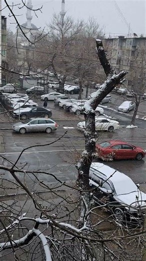 Old video of Bishkek beautiful snow weather #bishkek #snowfall