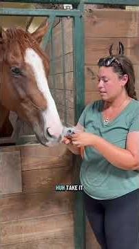 Carrot cronch competition! 🥕 part 1#katievanslyke #horses