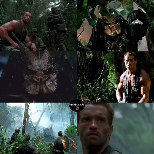 Where's all the Predator 1987 fans at?!