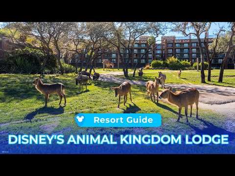 Full Resort & Room Tour: Disney's Animal Kingdom Lodge | Walt Disney World