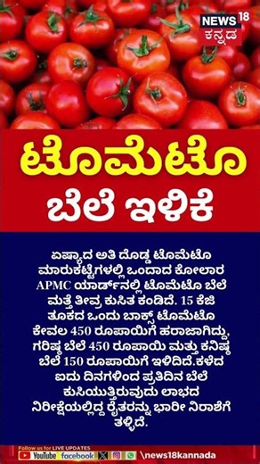 #Shorts | Tomato Price Down In Kolar | ಟೊಮೆಟೊ ಬೆಲೆ ಇಳಿಕೆ | N18S