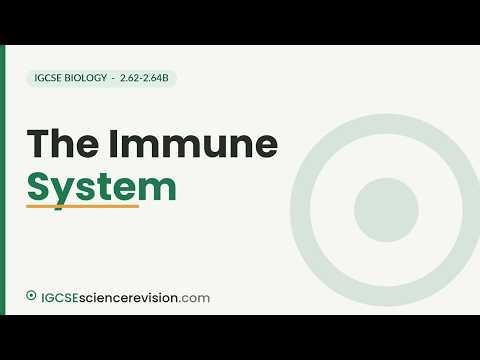 The Immune System