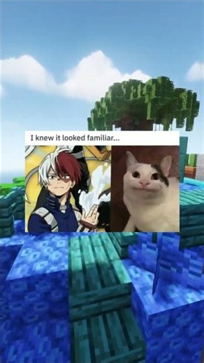 My Hero Academia Memes