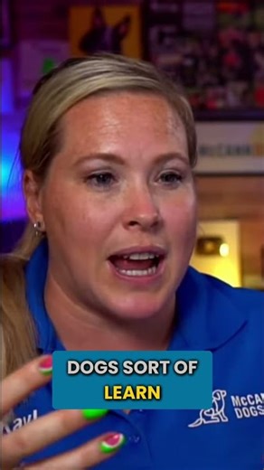 The “Open Door” Test Every Dog Should Pass