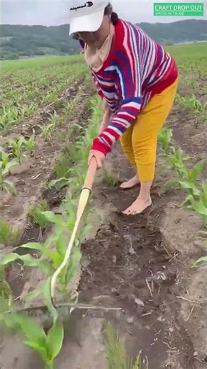 🌾⚒️ Dual-Wing Hoe for Fast Row Cultivation