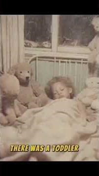 They Ignored Every Warning Until It Was Too Late #darkhistory #animalattack #hiddentruth