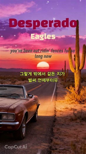 [가사해석]Desperado /Eagles#이글스 / 데스페라도