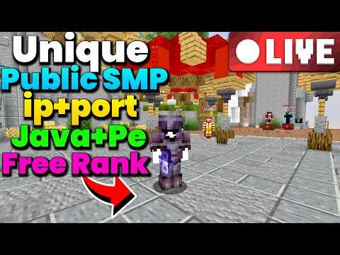 Let's play on this NEW Public Minecraft Server