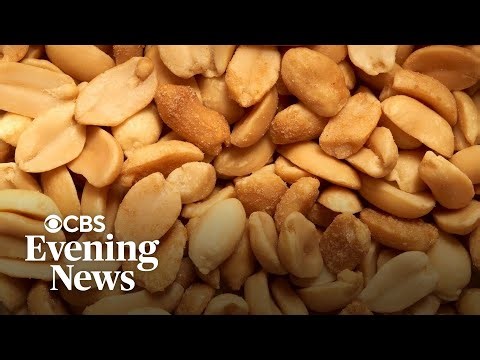 Introducing peanuts at an earlier age is working to reduce allergies, research shows