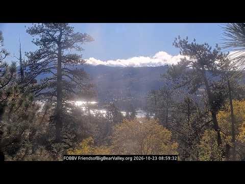 AFTER THE RAIN… Big Bear Looks Like HEAVEN! 😍🌧️🌲 | Big Bear Eagles 2026