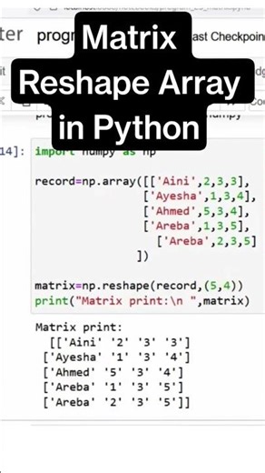 Unlock Your Python Skills Instantly Array Matrix! #python #ai