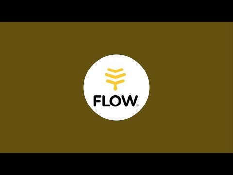 Beginner Beekeeping 🐝🍯