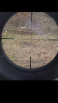 Real shooting RC Tank Battle DIY Bunker FPV shooting Scope Slow-motion WPL Henglong Clay testing