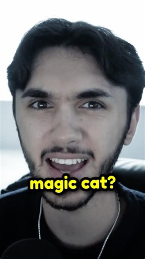 This cat does chip hacks... #shorts #shortsfeed #youtubeshorts #cringe #lifehack #comedy #funny