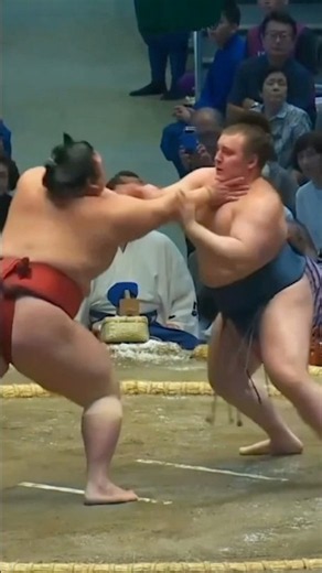 Aonishiki vs Takanosho | Day 8 | Nagoya Basho 2026 #grandsumo #sumo