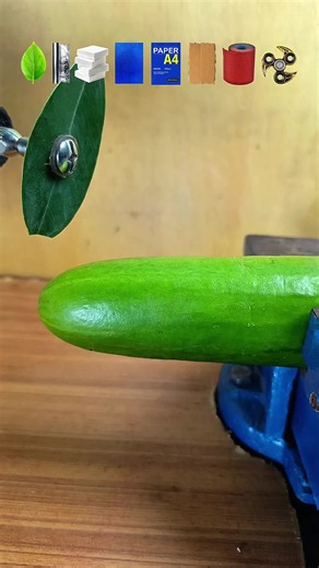Which Object Will Cut the Cucumber? Satisfying Experiment