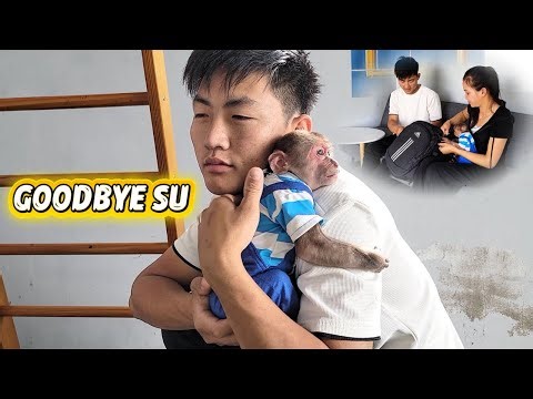 Farewell Moment! SU find every Unexpected Way to Keep Engineer from Leaving!