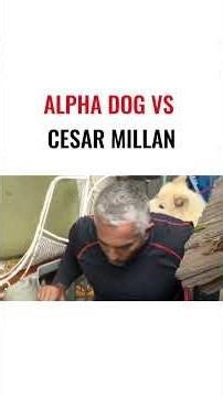 Alpha Dog Vs Cesar Millan