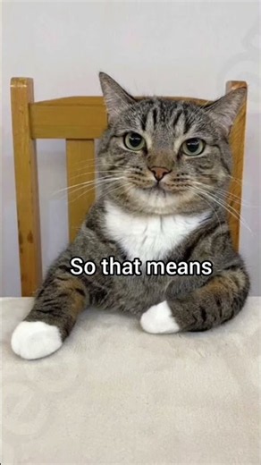 #cat #memes #goviral #youtube #funny #youtubeshorts #fypシ゚viral