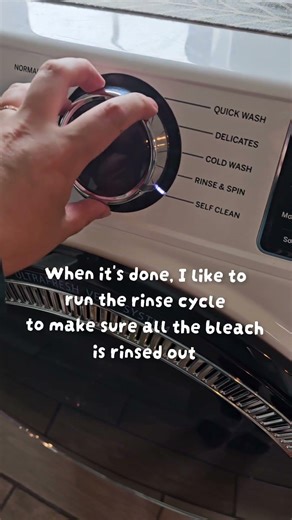 This is your reminder to Self Clean your Washing Machine!