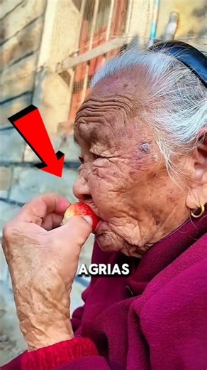Abuelita Come Fresas Sin Dientes 🍓🥹 #Catsoftiktok #CatLovers #cat #cute #FunnyCats #catcartoon #fyp