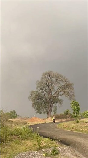 Cyclone Update 🌪️ | Dangerous Storm Alert | Live Weather News Today