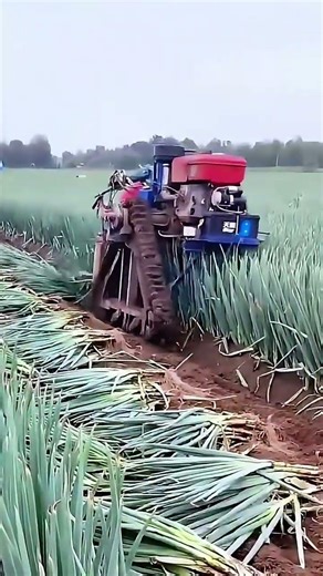 Garlic Harvesting Machine 🧄🚜 | Smart & Efficient Farming Technology | Agri Climax #farming