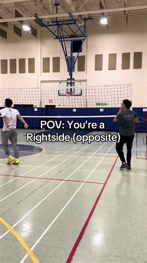 Exciting Volleyball Clips and Techniques to Try