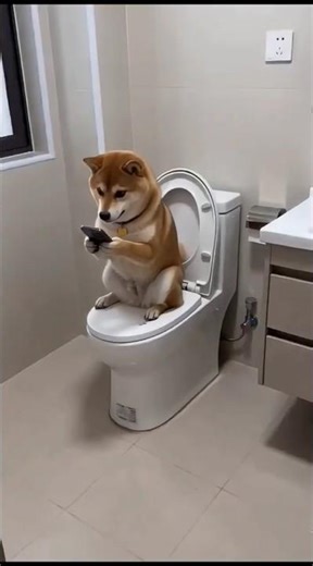 The Mischievous Duck and the Exploding Bath #shorts #funnyanimals #viralshorts #aianimation #comedy