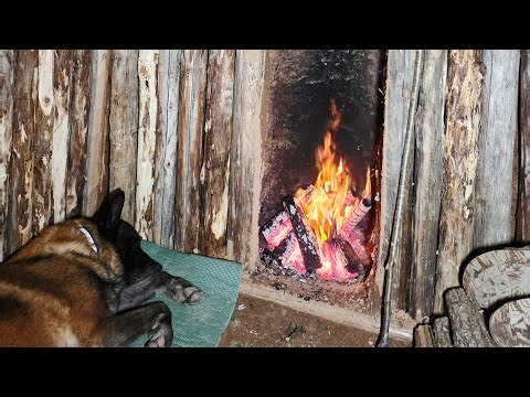 I Built a Warm Survival Shelter in the Forest with My Dog (Fire Inside)