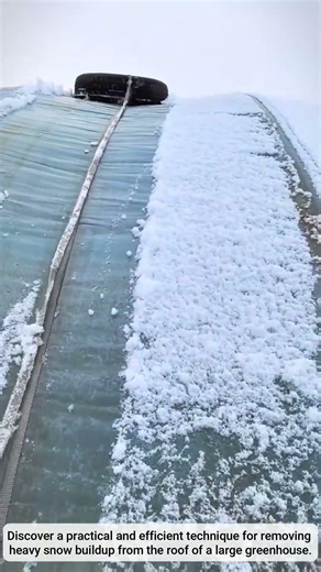 Clearing Roof Snow with a Tire