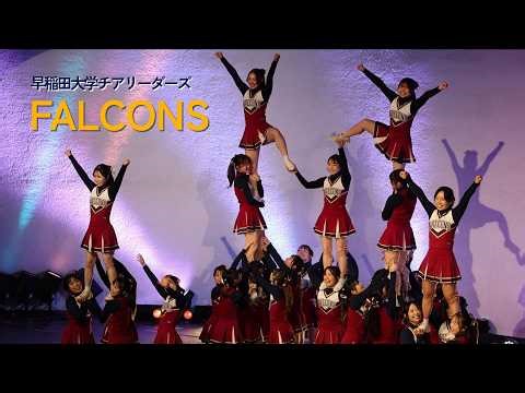 【チア】FALCONS｜早稲田大学チアリーダーズ｜RIDE2026 合同新歓公演（大隈講堂）