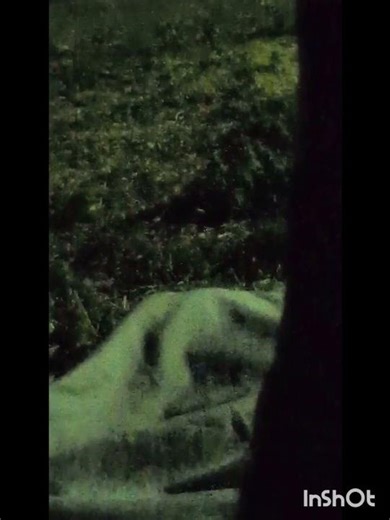 Chased down by the same alien that stole my inner light