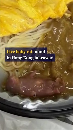 Live baby rat found in Hong Kong takeaway