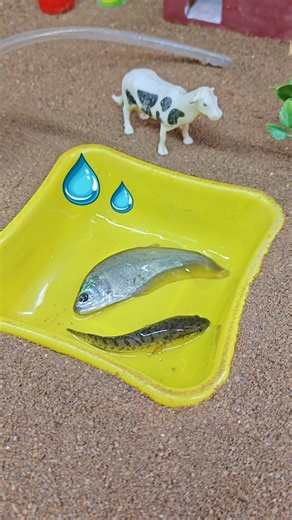 Mini Ponds Fishing Water Pump With Cow Science Project 😱 #shorts