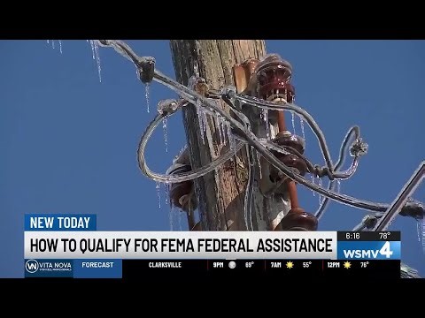 How to qualify for FEMA federal assistance